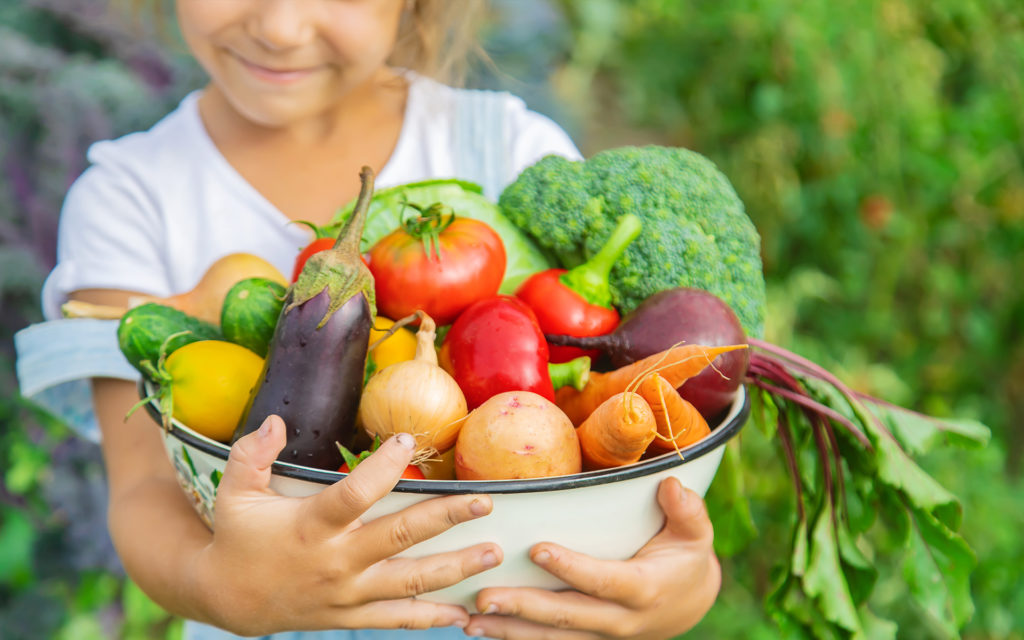 Children’s Vegetable Garden – Fall 2026