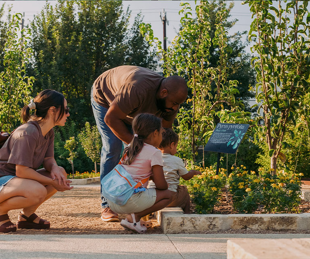 family classes at SABG