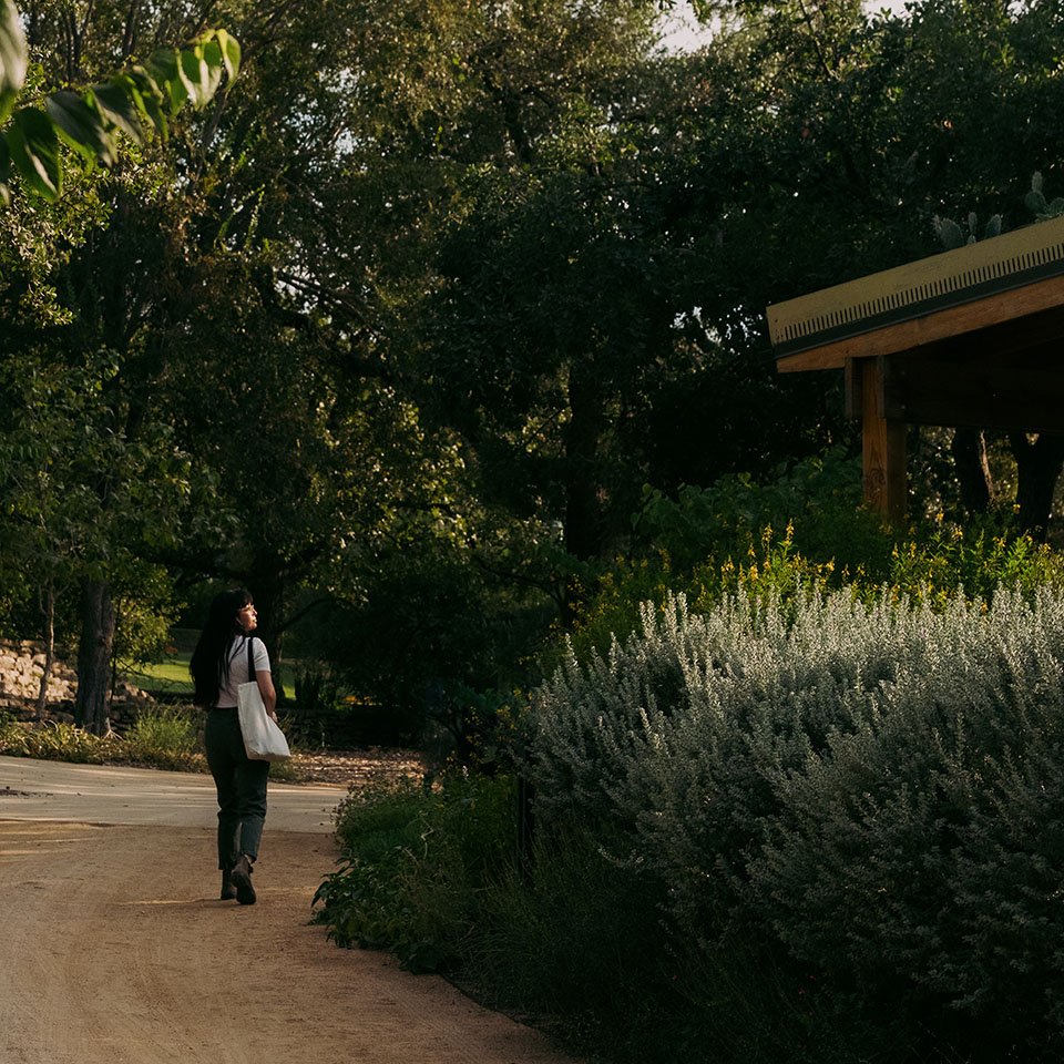 walking trail at SABG