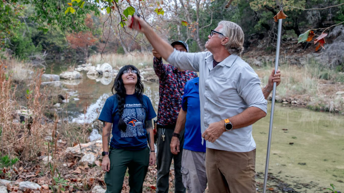 Trees Initiative