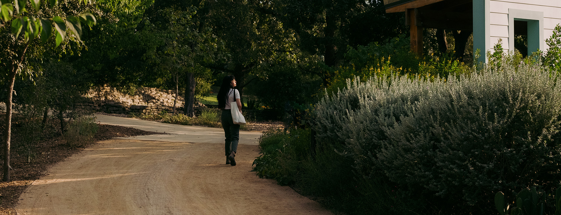 walking trail at SABG