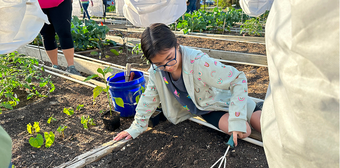 gardening at San Antonio Botanical Garden