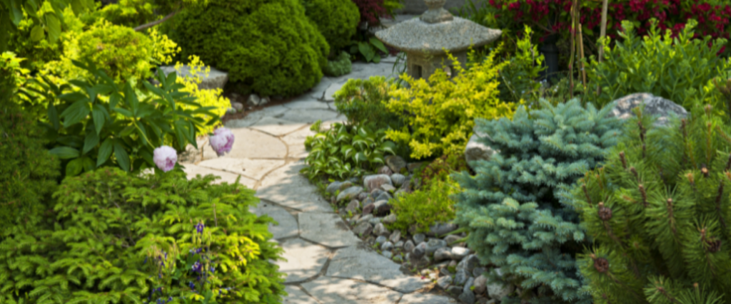 Yard Redesign: Lawnscape to Landscape