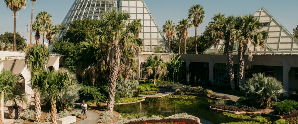 Drop-in Guided Tour: Conservatory